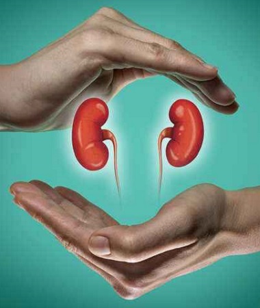Kidney Diseases Treatment